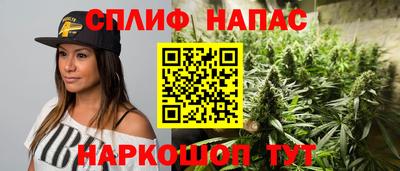 индика Абакан