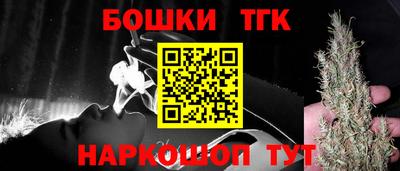 индика Абакан