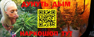 индика Абакан
