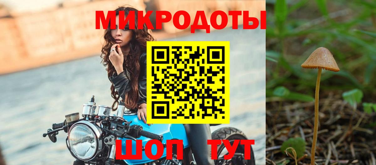 Псилоцибиновые грибы MAGIC MUSHROOMS  Вход с VPN  Псилоцибиновые грибы MAGIC MUSHROOMS  Апатиты 